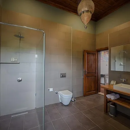 Hotel Palm House 17 - Adult Only