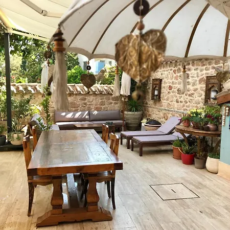 Palm House 17 - Adult Only Hotel Antália