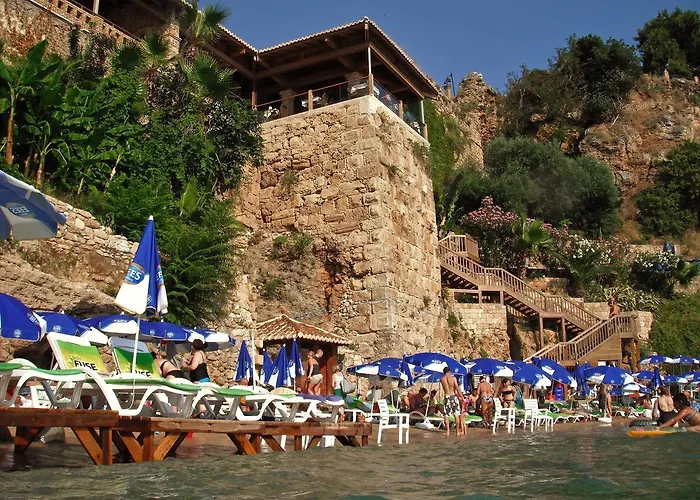 Palm House 17 - Adult Only *