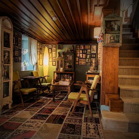 Hotell Palm House 17 - Adult Only