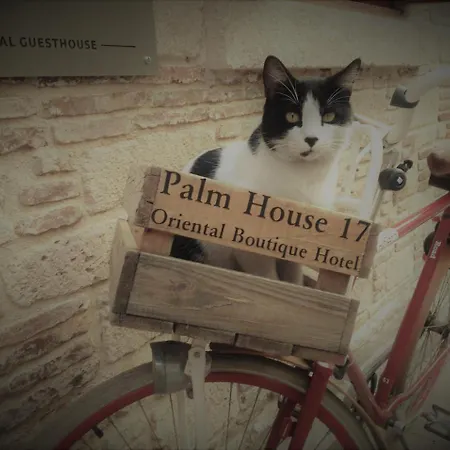 Palm House 17 - Adult Only 안탈리아